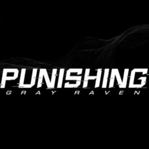 Punishing: Gray Raven